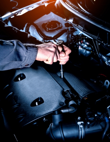 Mechanic Jannali