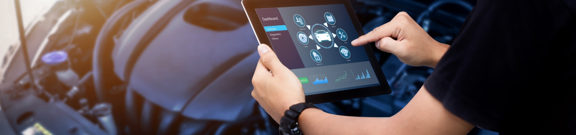Diagnostics and Inspections